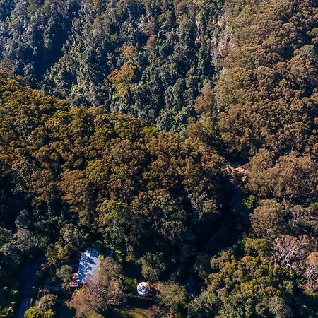 Purling Brook Falls Gwongorella Hotel Springbrook Luaran gambar