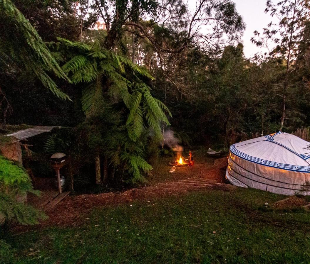 Purling Brook Falls Gwongorella Hotel Springbrook Luaran gambar