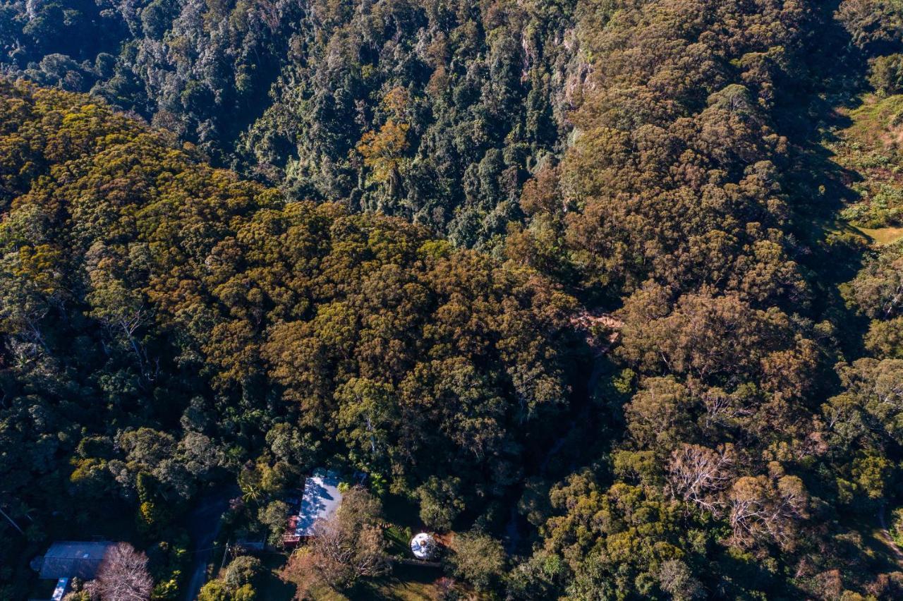 Purling Brook Falls Gwongorella Hotel Springbrook Luaran gambar