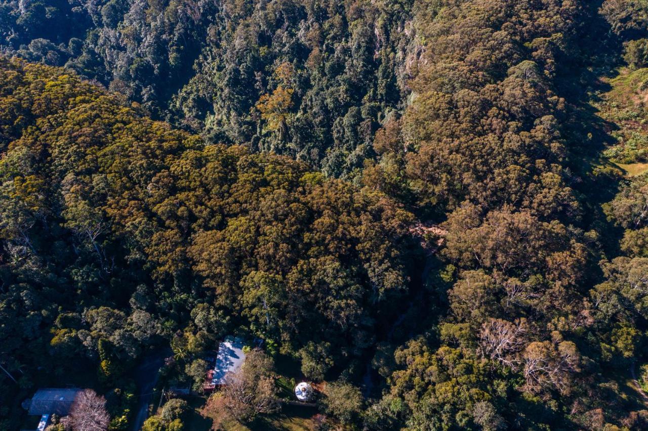 Purling Brook Falls Gwongorella Springbrook Luaran gambar