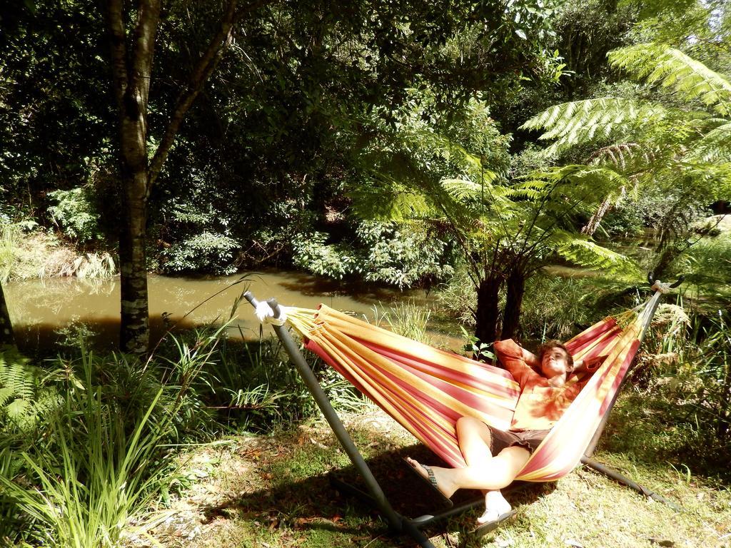 Purling Brook Falls Gwongorella Hotel Springbrook Luaran gambar