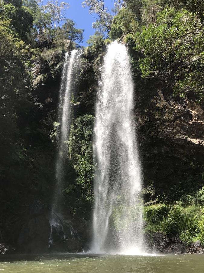 Purling Brook Falls Gwongorella Hotel Springbrook Luaran gambar