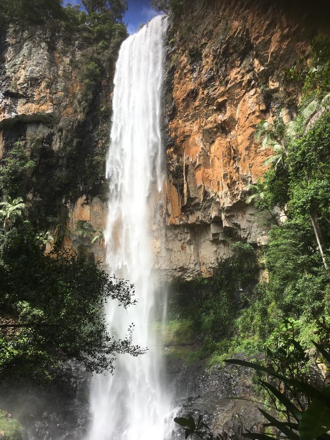 Purling Brook Falls Gwongorella Hotel Springbrook Luaran gambar