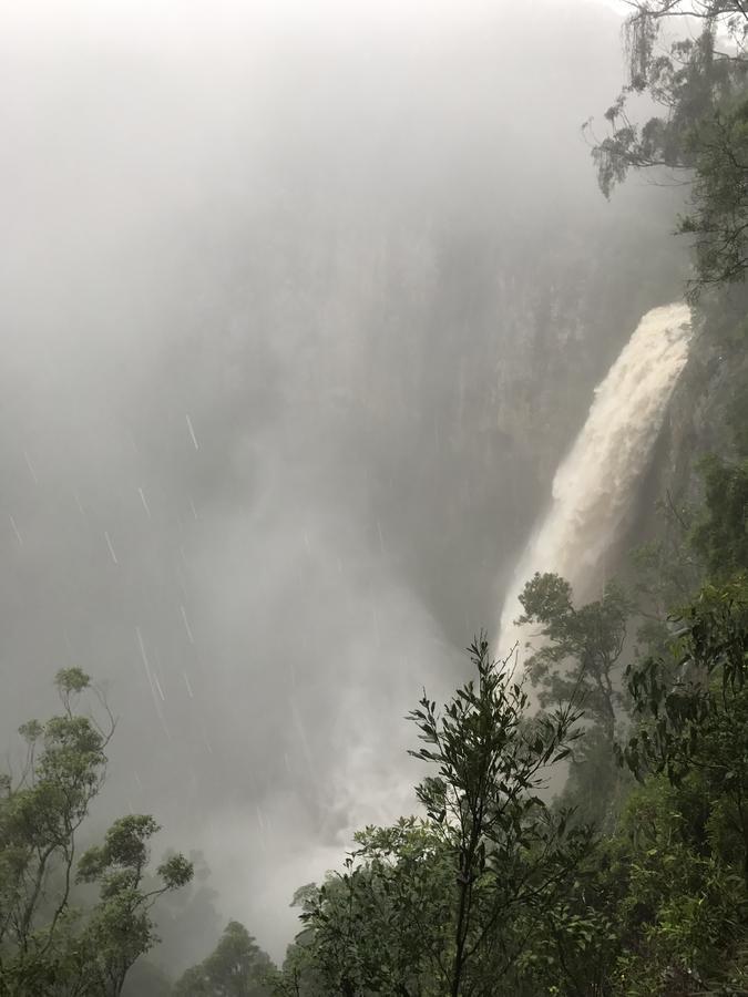 Purling Brook Falls Gwongorella Hotel Springbrook Luaran gambar